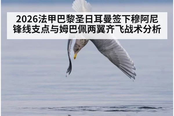2026法甲巴黎圣日耳曼签下穆阿尼锋线支点与姆巴佩两翼齐飞战术分析（kaiyun）