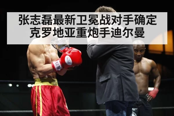 Zhang Zhilei boxing champion
