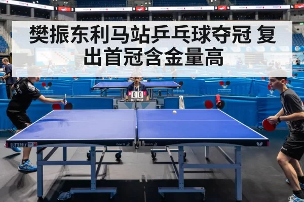 fan zhendong table tennis match